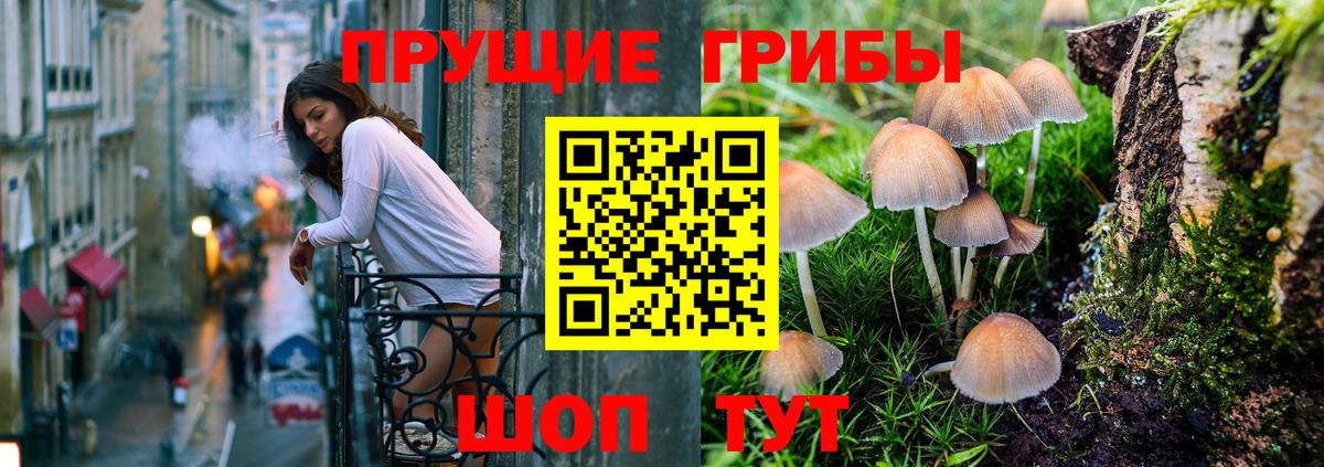 Галлюциногенные грибы GOLDEN TEACHER  Вход с VPN  Дальнегорск 