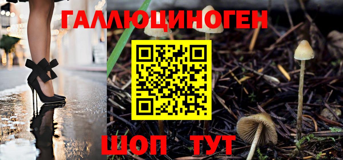 Псилоцибиновые грибы Magic Shrooms Дальнегорск